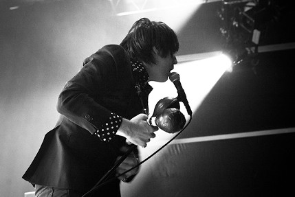 the wombats